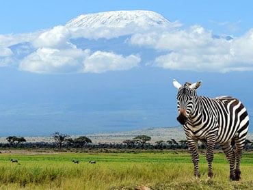 SUD E CENTRO AFRICA